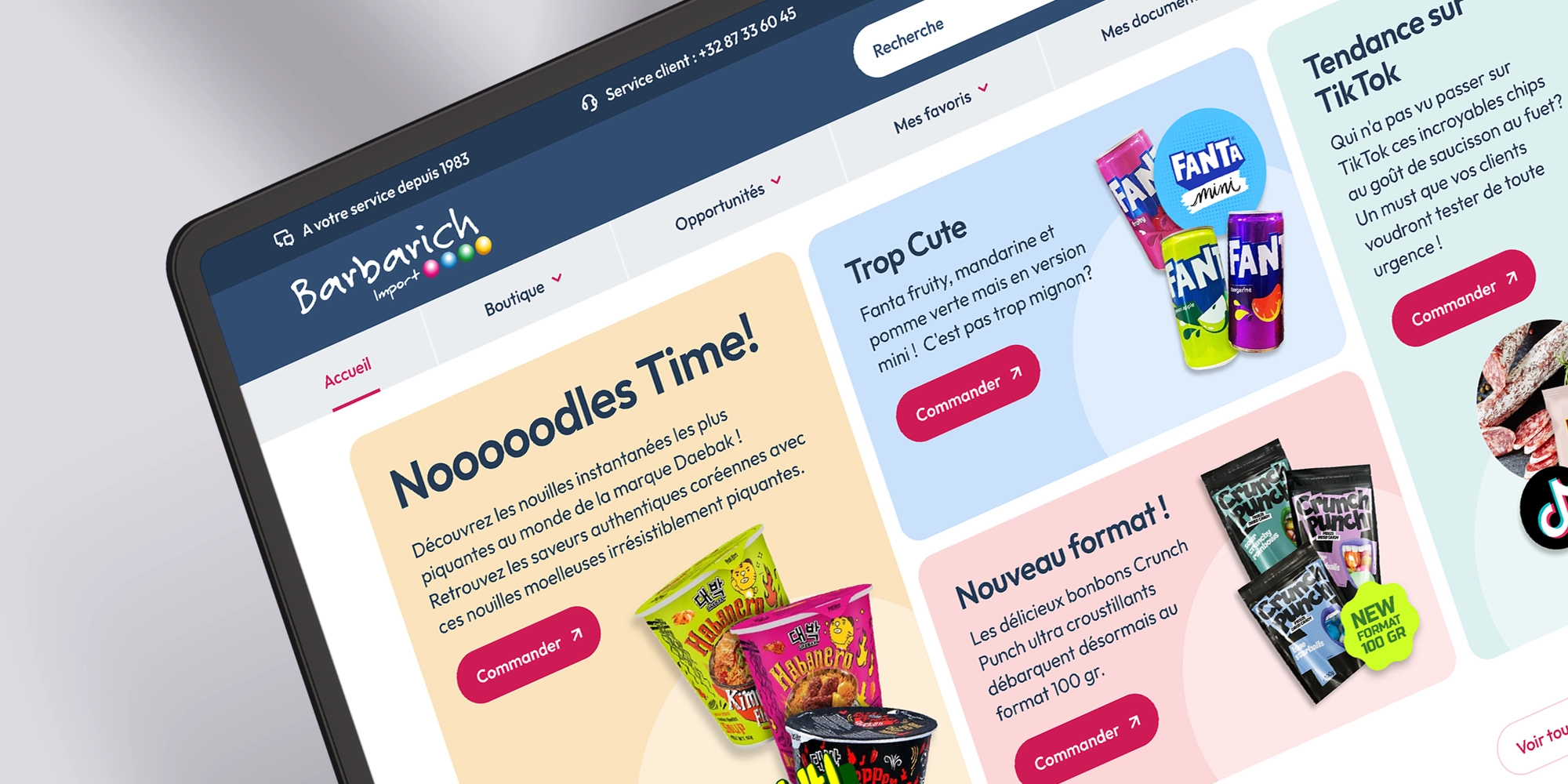 Écran d’ordinateur présentant des blocs d’appel à l’action mettant en avant les promotions et les nouveautés du Shop Barbarich Import.